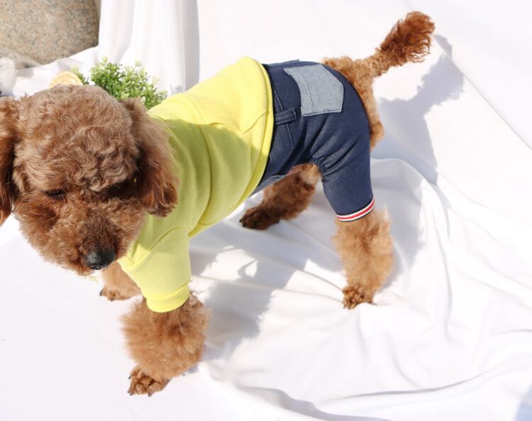 dot denim skirt & pants S ~ XL / 犬服 新作 パンツ ドッグウェア ボトム スカート シンプル 小型犬 中型犬 犬 服 ズボン ペット洋服