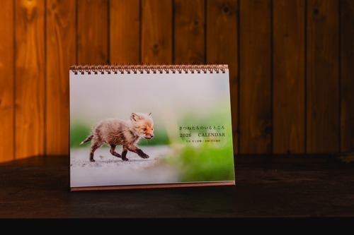 第2次予約【2冊】2026カレンダー 『きつねたちのいるところ』 写真家 井上浩輝