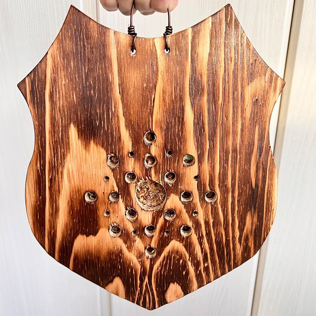 大型 ビカクシダ ウィリンキー コルク 板付け インテリア 大型 ビカクシダ ウィリンキー コルク 板付け インテリア 大型