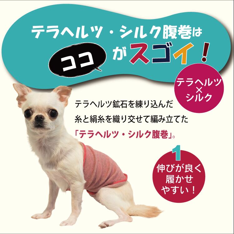 犬服☆テラヘルツ腹巻き】(S～Lｻｲｽﾞ)テラヘルツ・シルク腹巻き