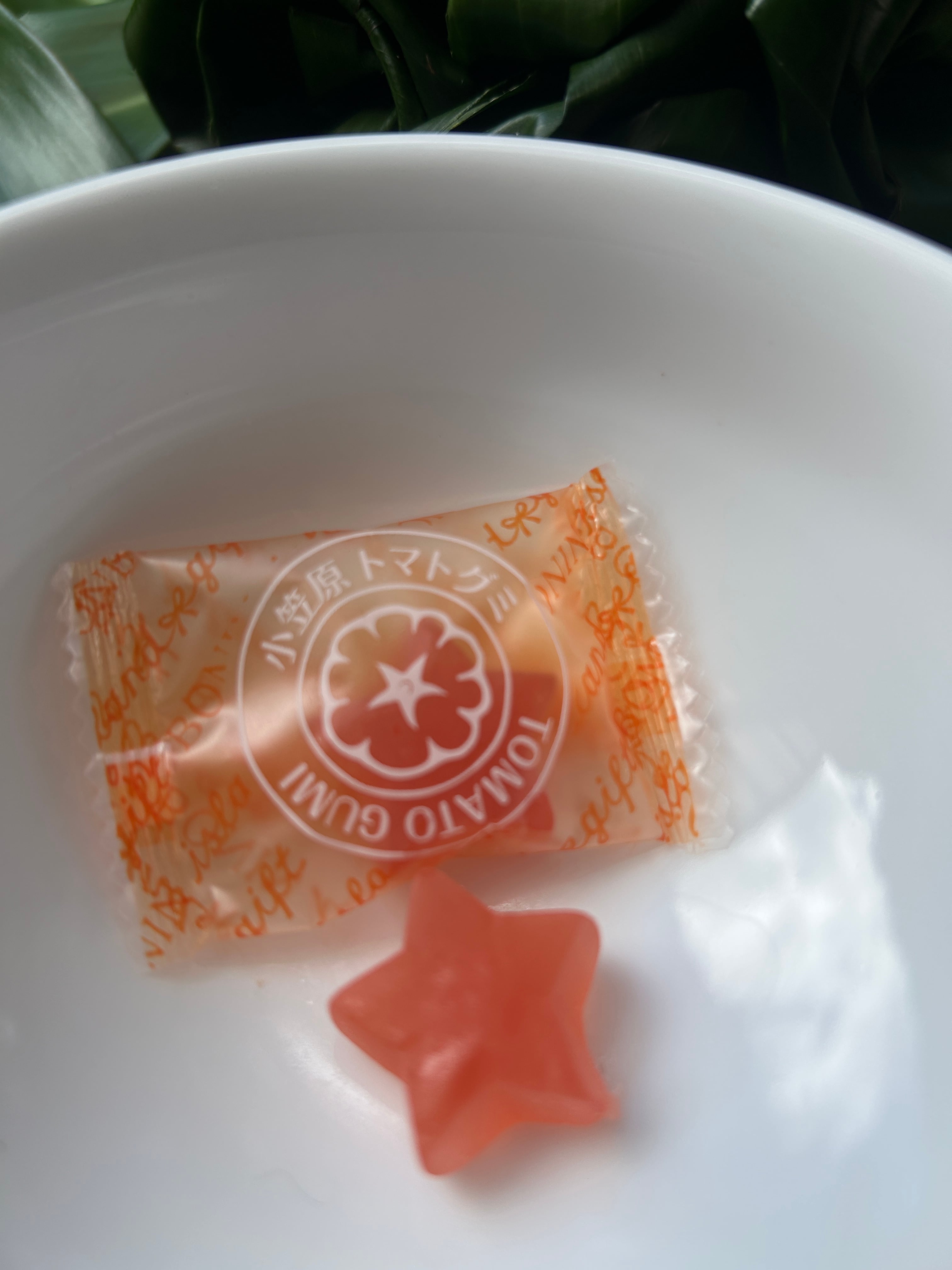 小笠原フルーツグミ 3箱セット | 小笠原土産のノスリ工房