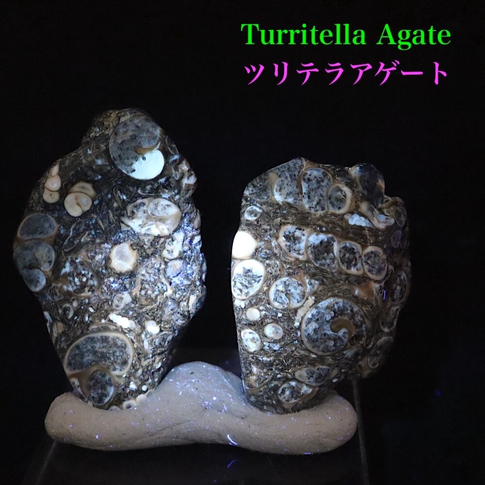 ツリテラアゲート 2.3キロ 化石 瑪瑙 アゲート 鑑賞石 石 置物