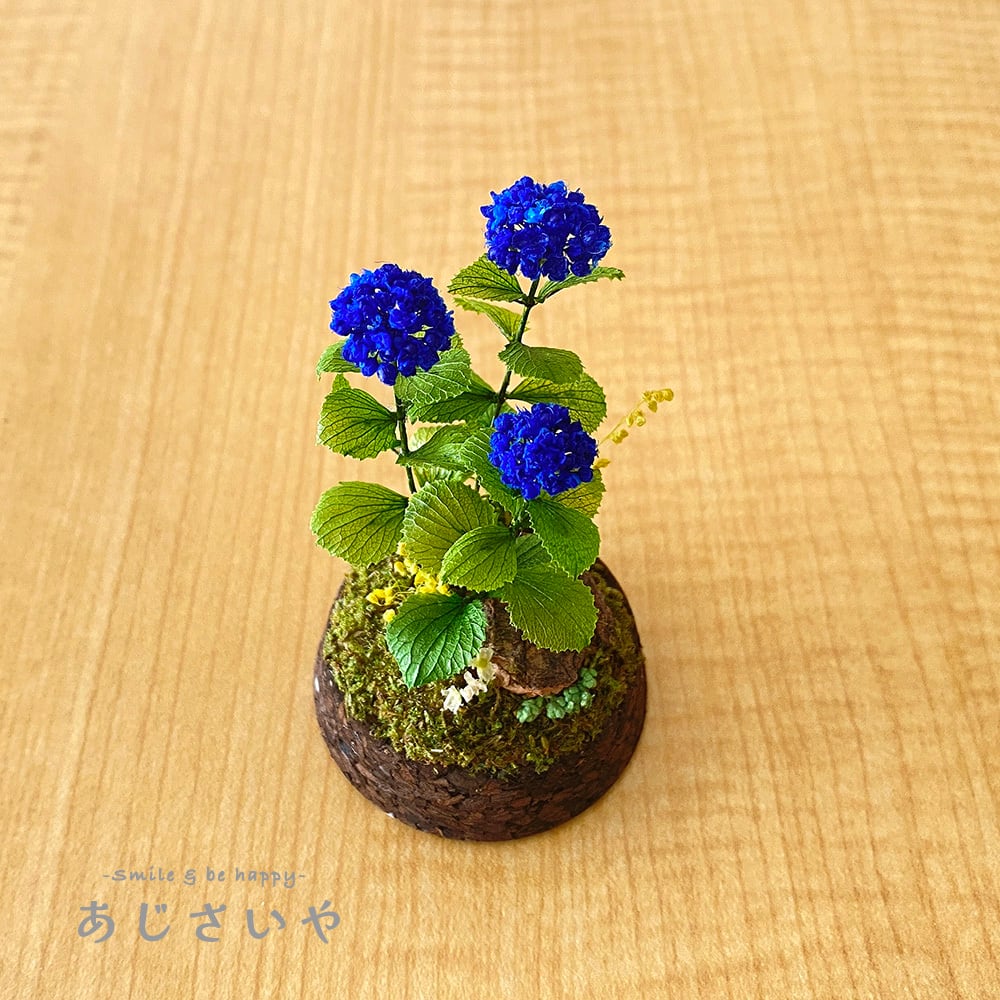 ちいさなあじさい園 【 紫陽花の箱庭 〜三輪株立〜 ブルーアース