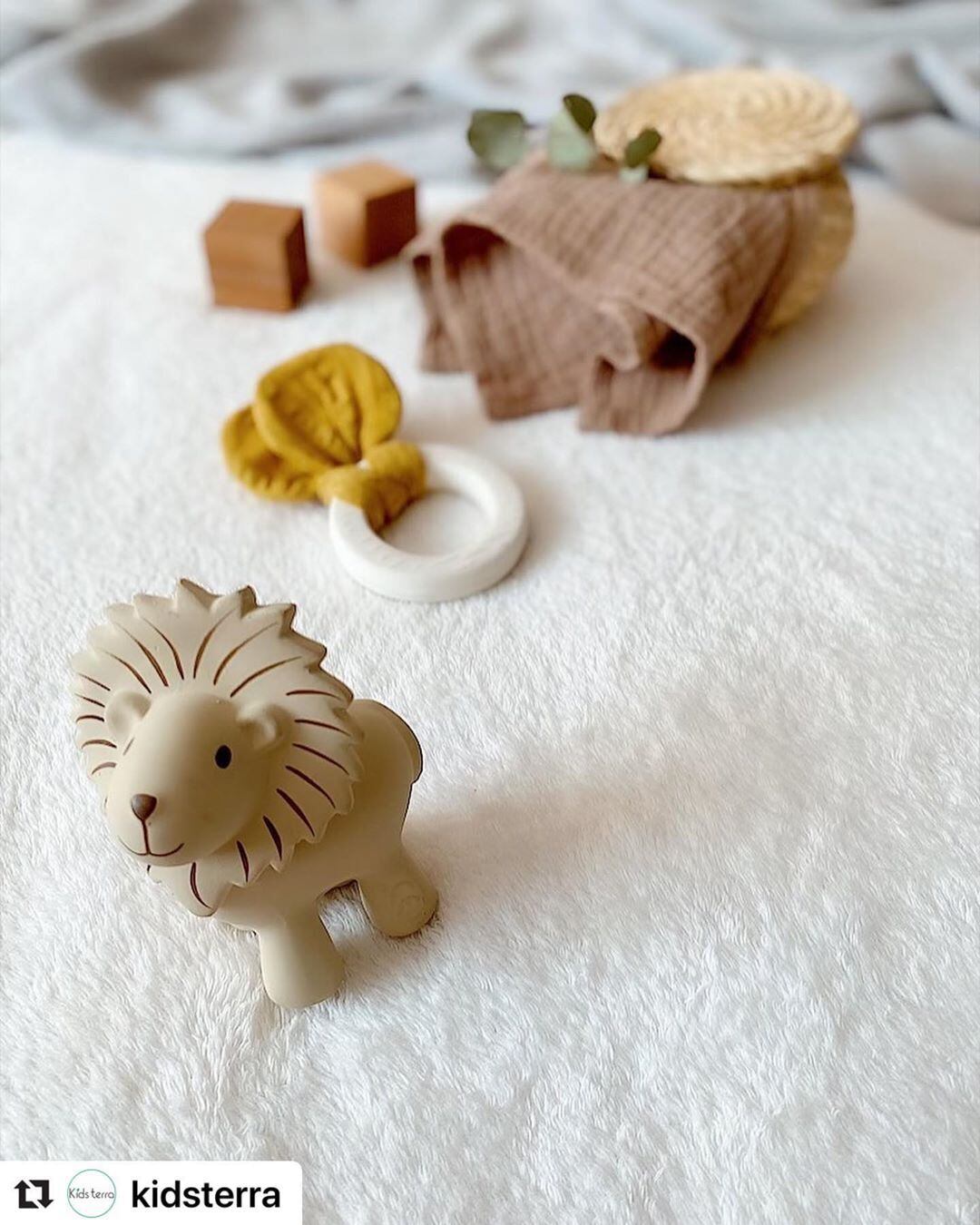 Rattle & Bath Toy Lion_96012