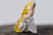 Yellow Fluorite with Calcite