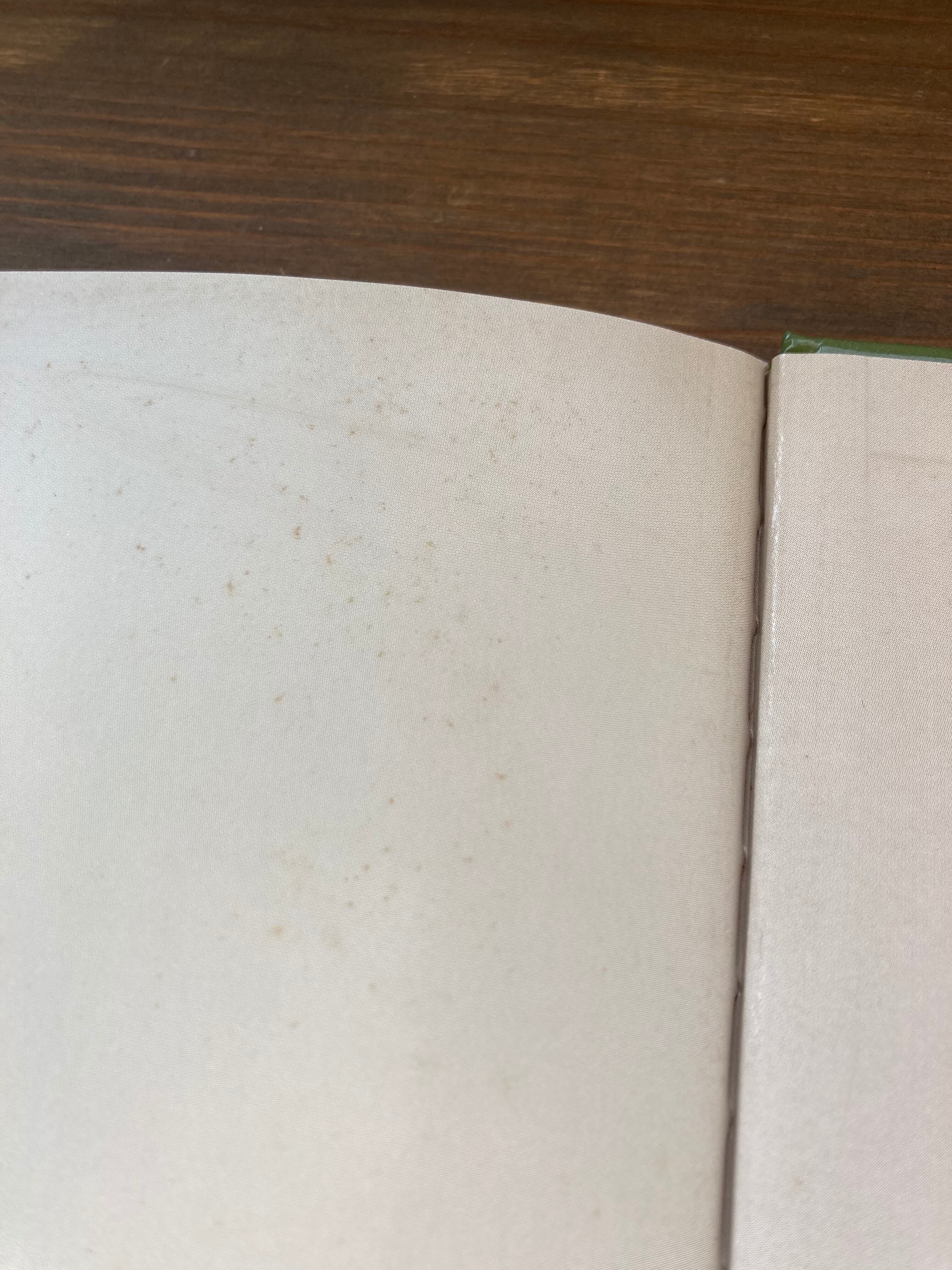 かさをささないシランさん