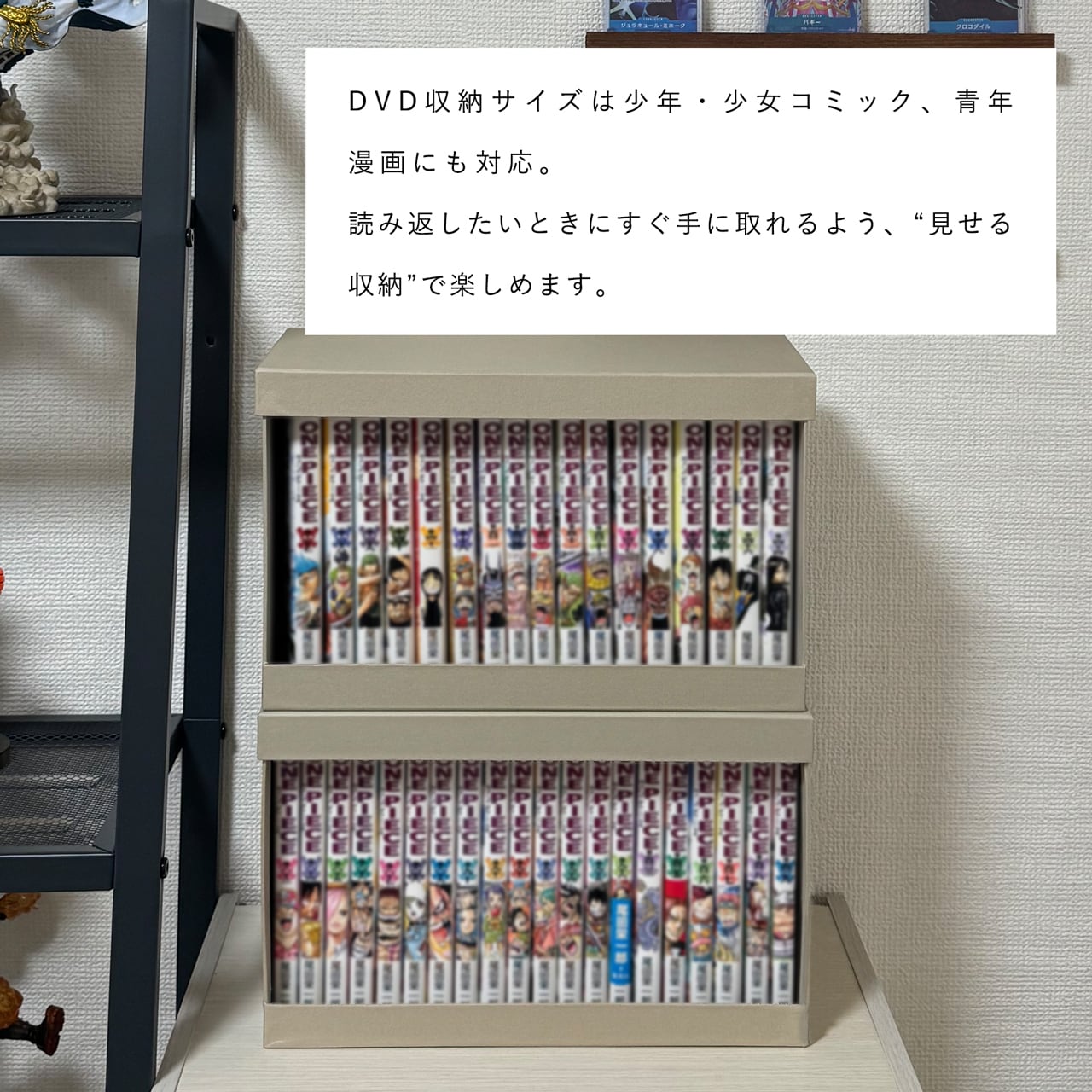 DVD収納・コミック収納｜おしゃれなオープンボックス（約20枚／15冊