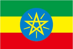 エチオピア モカ ヘレフG1 100ｇ