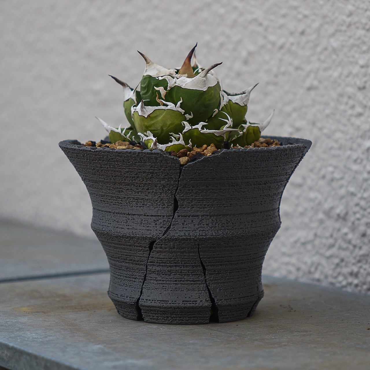 クラックスリット鉢 G 大鉢 (15cm) | Green Mountain Store