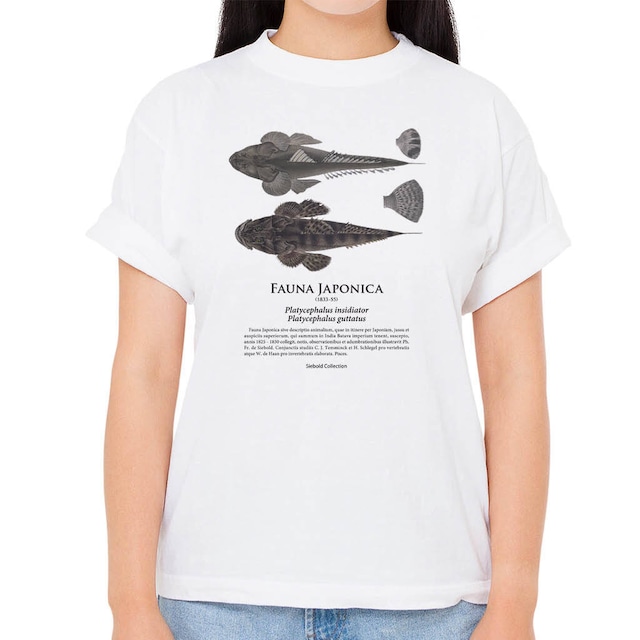 【マゴチ】シーボルトコレクション魚譜Tシャツ（高解像・昇華プリント）