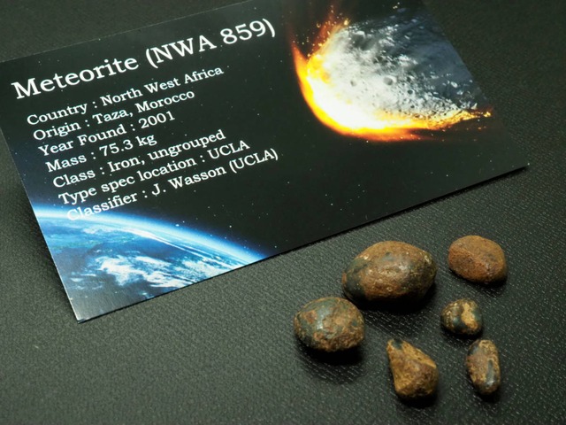 Taza（タザ）隕石【NWA 859 】【14.2g】モロッコ王国タザ州産/鉄隕石