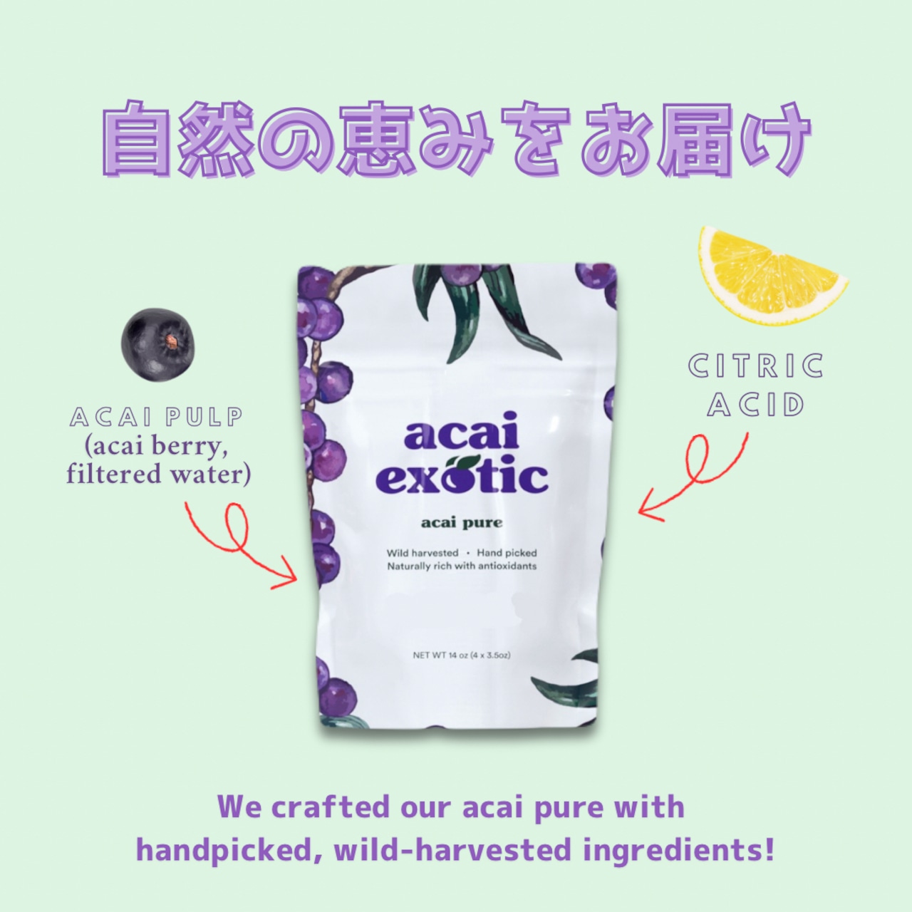 acai pure(無糖) - 4袋(100g×16パック) - 5
