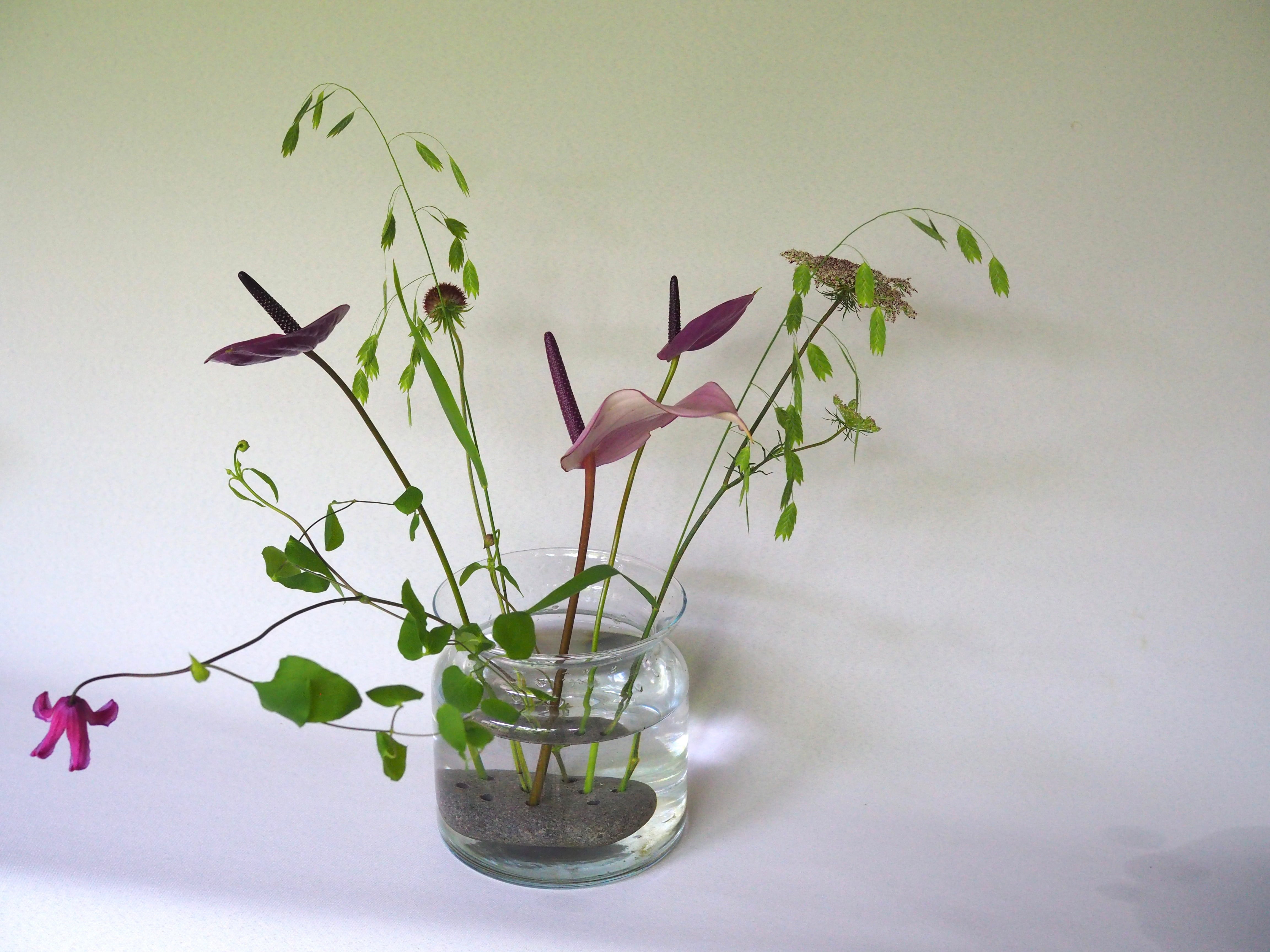 FROG STONE(石の剣山) | 花屋ぼたん