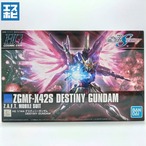 HG 1/144 デスティニーガンダム