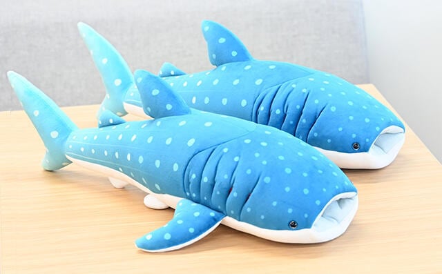 ぬいぐるみエラ付ジンベエザメ（オス・メス） | KAIYUKANofficialshop 