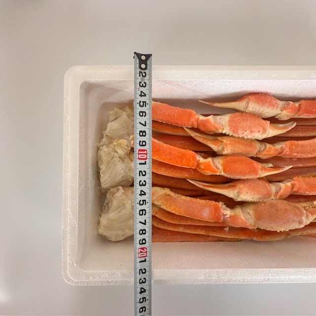 冷凍ボイルズワイガニ脚（６肩）　2ｋｇ