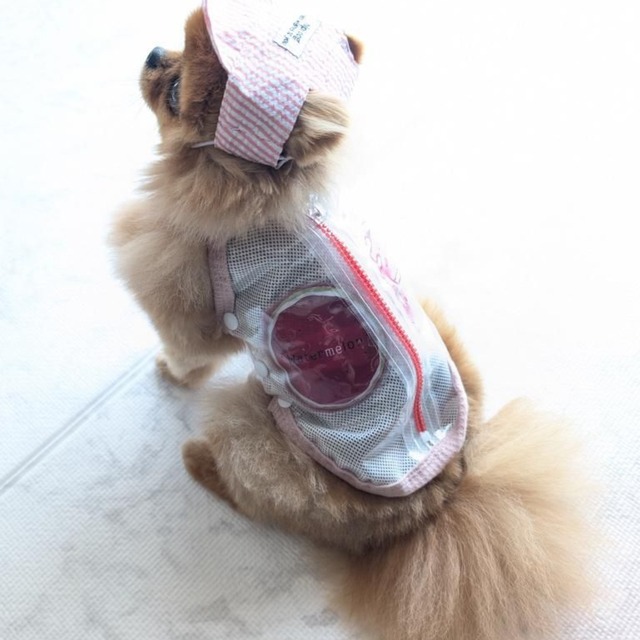 帽子付き 冷感フルーティーウェア♡0144