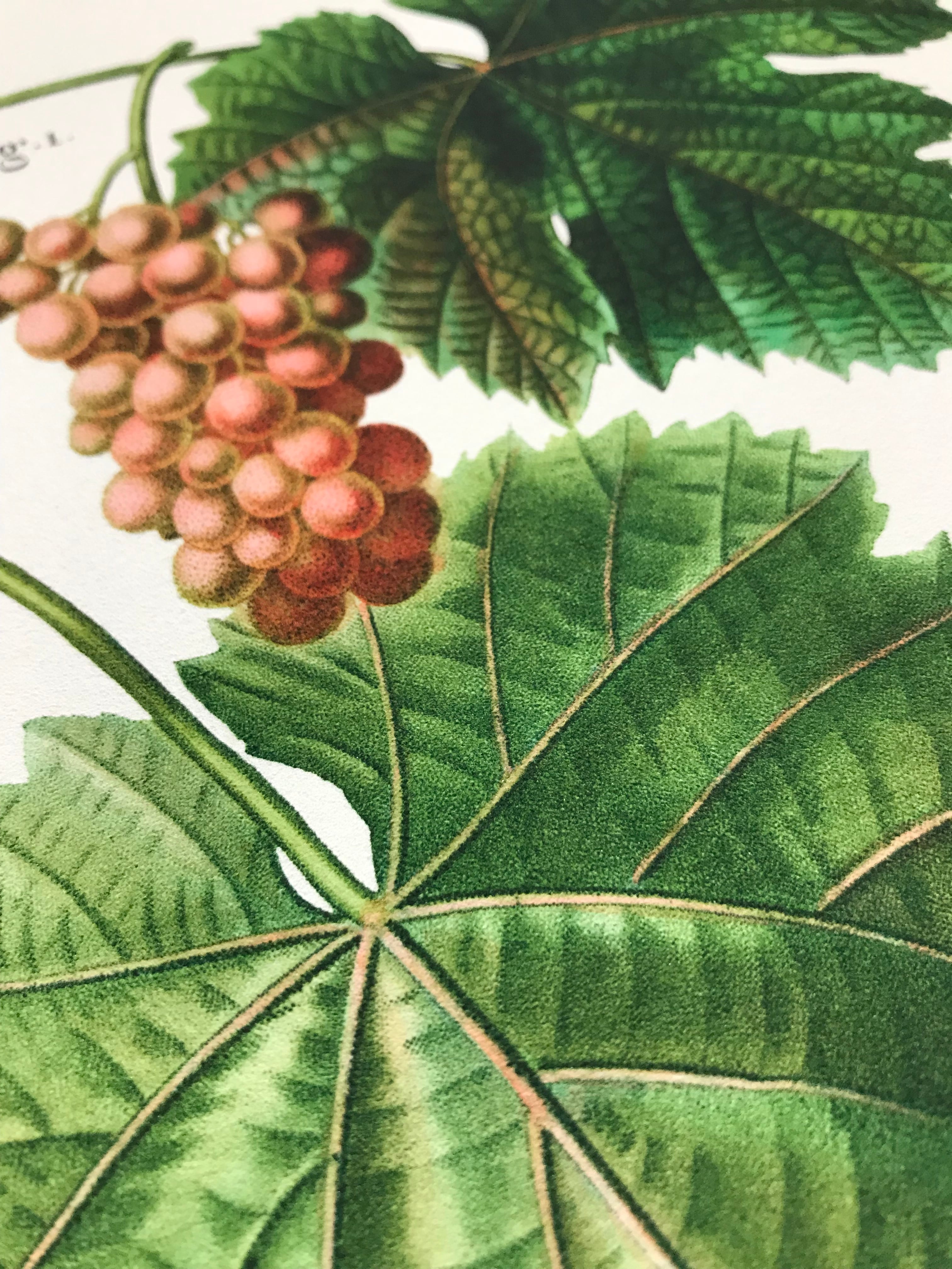 陶板画 ぶどう MEISSEN マイセン 『陶板画 ぶどう』 ｜骨董品買取 緑和堂