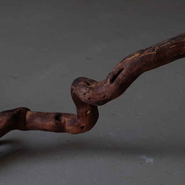 Branch