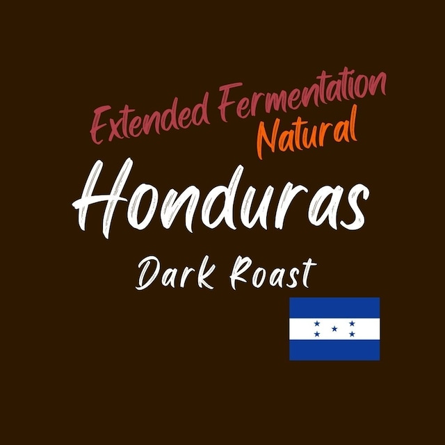 ホンジュラス／深煎り【エルプエンテ農園 エクステンド ファーメンテーション ナチュラル】100g