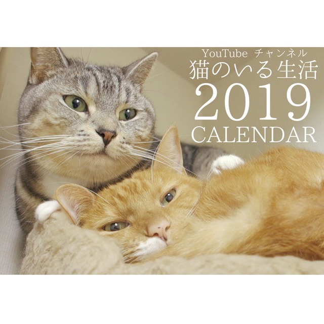 【送料無料】2019年　猫のいる生活　壁掛けカレンダー