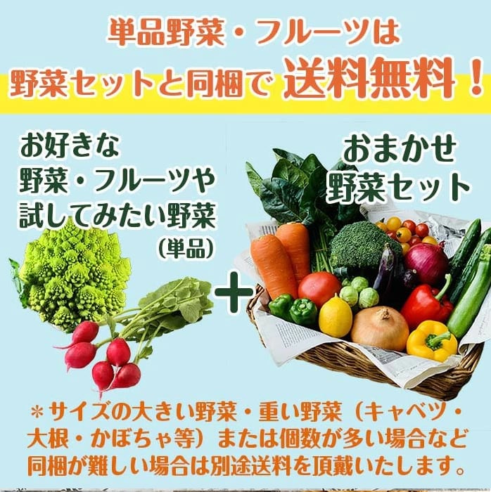 新鮮野菜とフルーツのお店　インスタ映え野菜10品目セット【送料無料】　旬屋