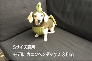 【怪獣】犬用ニット・ウェア