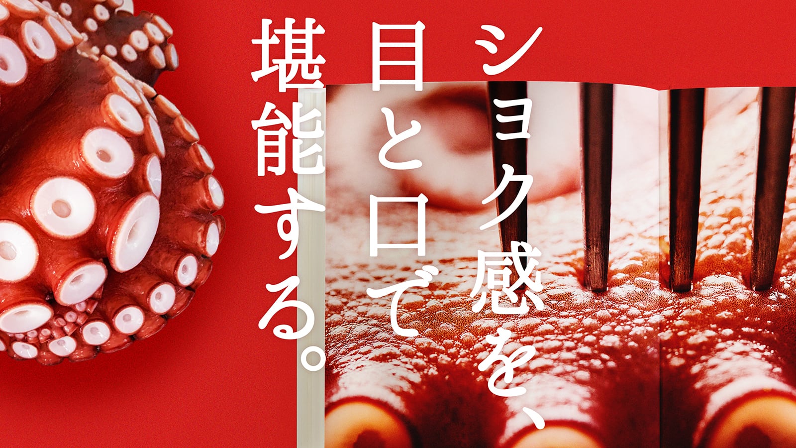 3869dbf88394cfe07cec2805e02d66