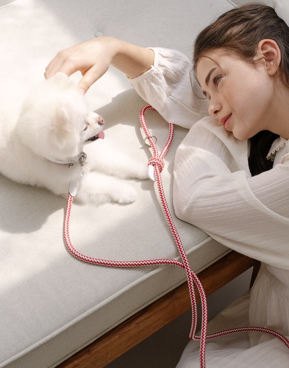 予約【stroll】Rope Leash Classic (Red Velvet)
