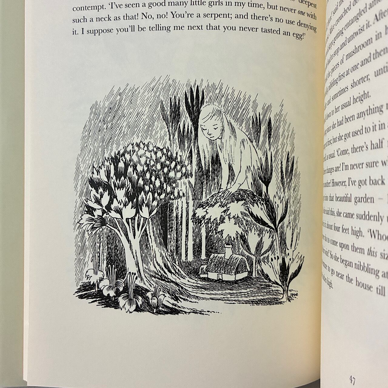 Alice's Adventures in Wonderland | 素敵な洋書絵本のお店 Read Leaf