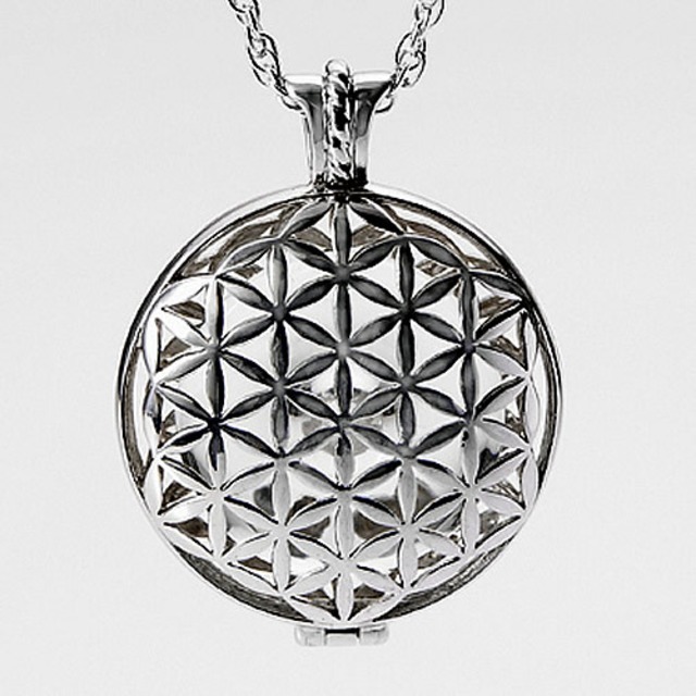 トーラス・シップ・ピュア