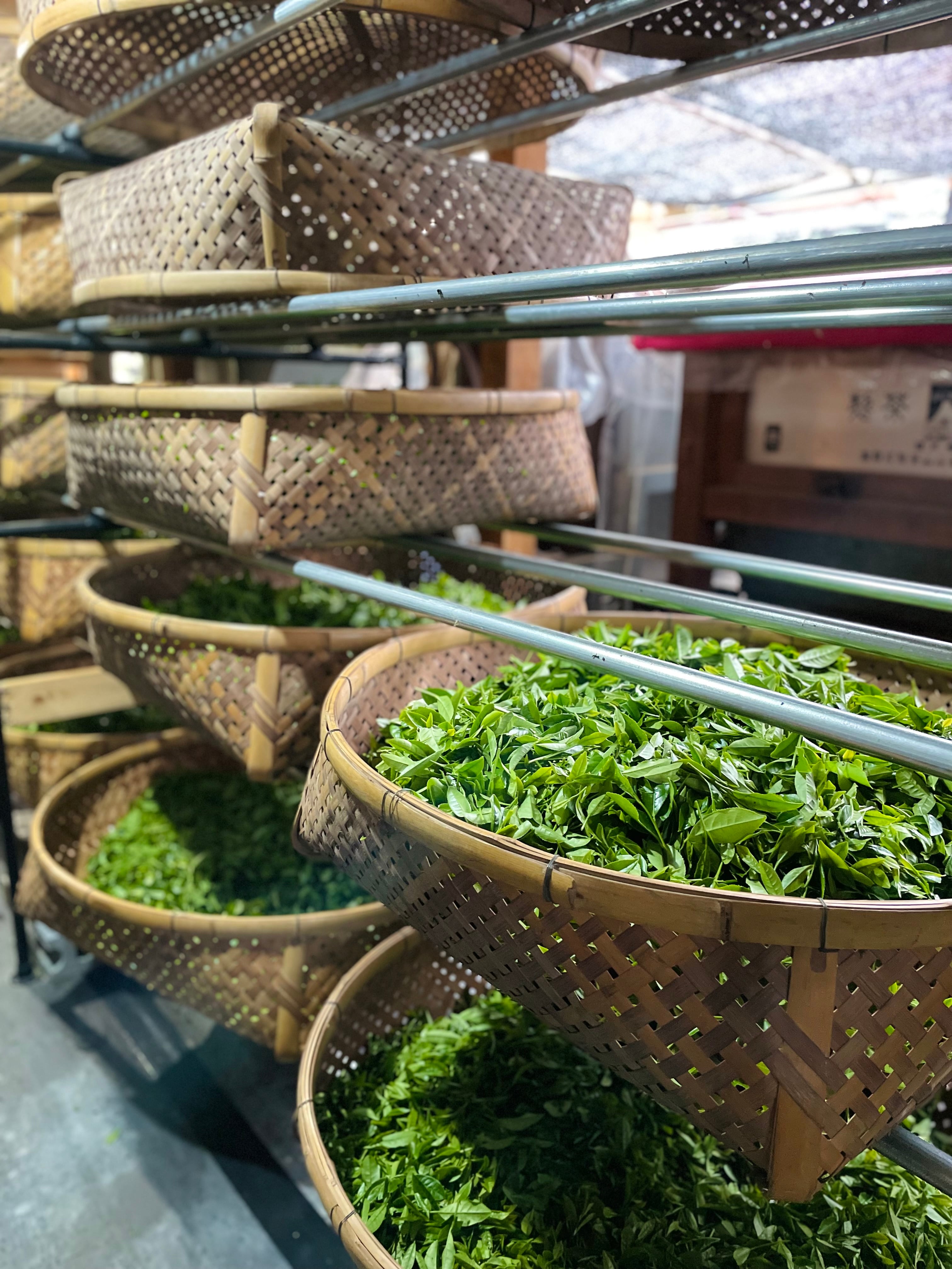 徳山郷煎茶 神すゞしめ 2025 50g | 鈴木茶苑