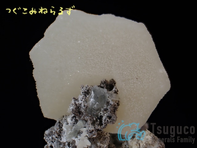 マンガノカルサイト マンガンカルサイト 含マンガン方解石 ブルガリア TM-831