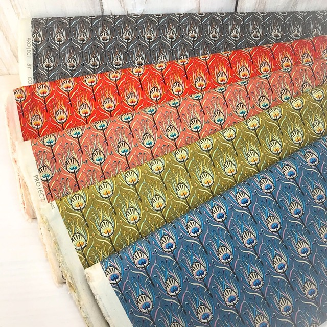 KTS-6999    ブロード　／　クジャクの羽根