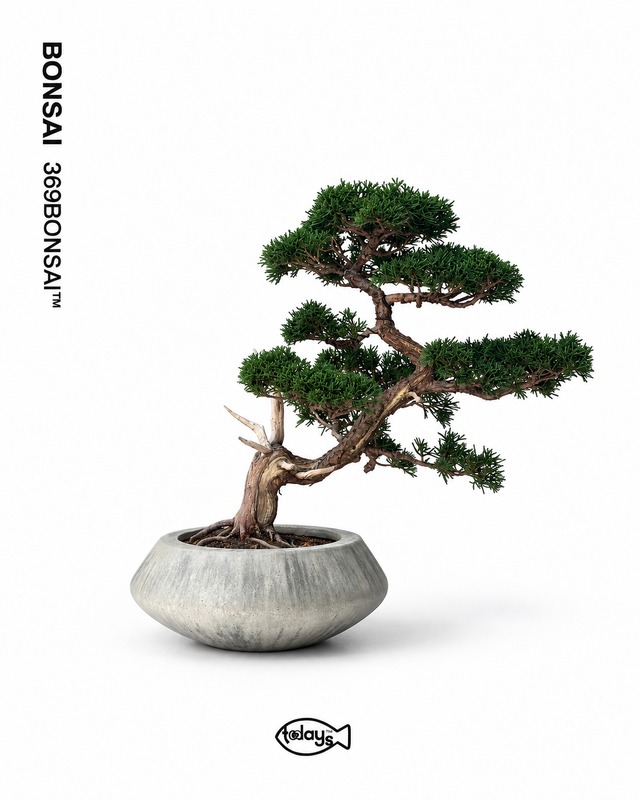 369 BONSAI™︎