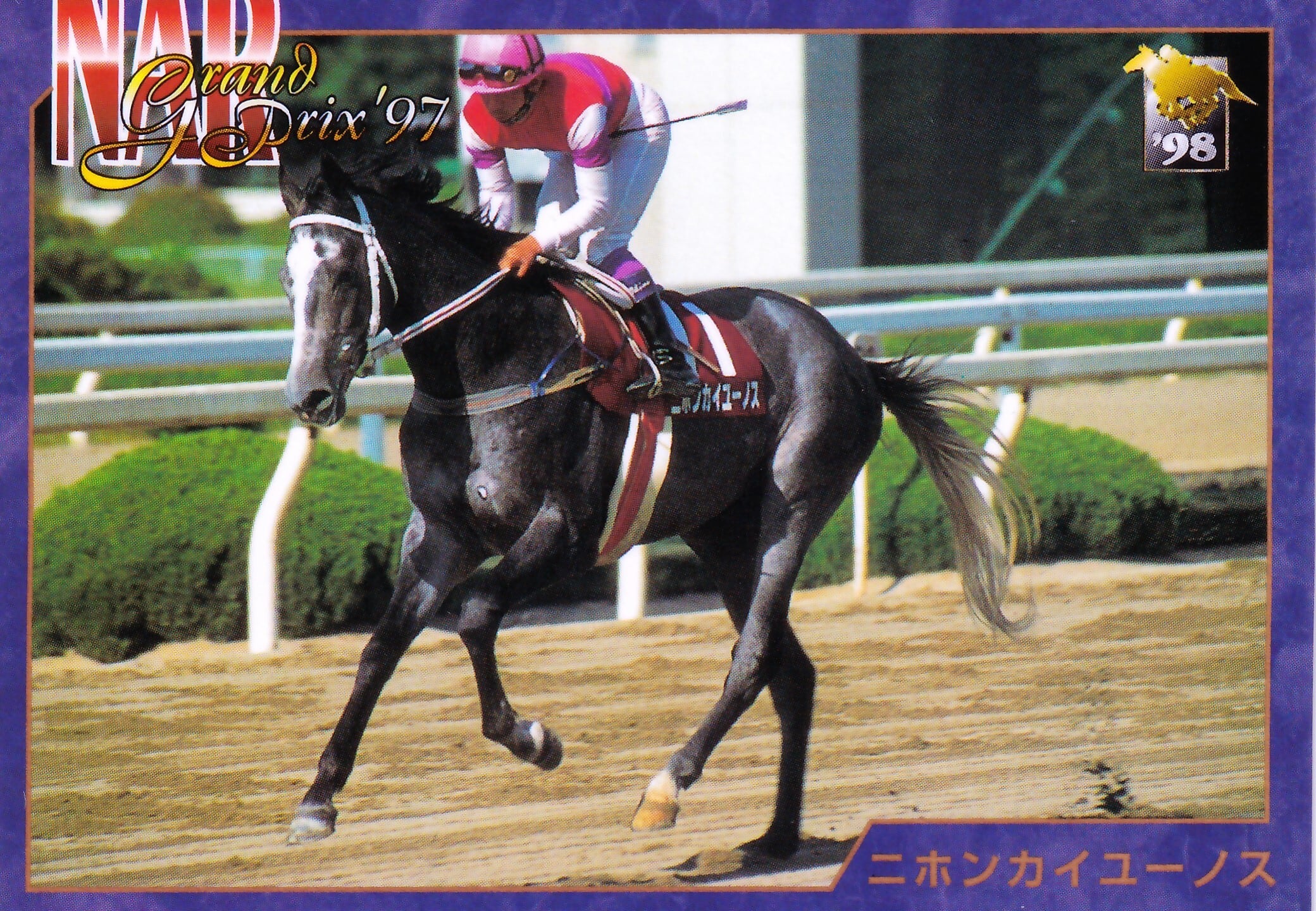 ニホンカイユーノス：NARアラブ系4歳最優秀馬「サラブレッドカード 98