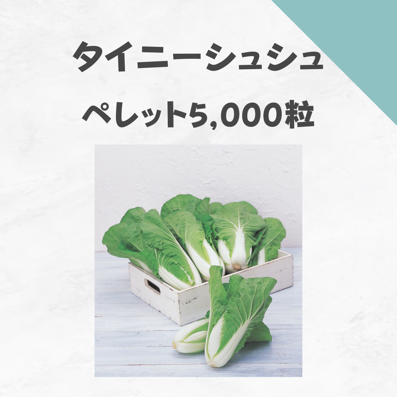 タイニーシュシュ ハクサイ種子・ペレット5,000粒