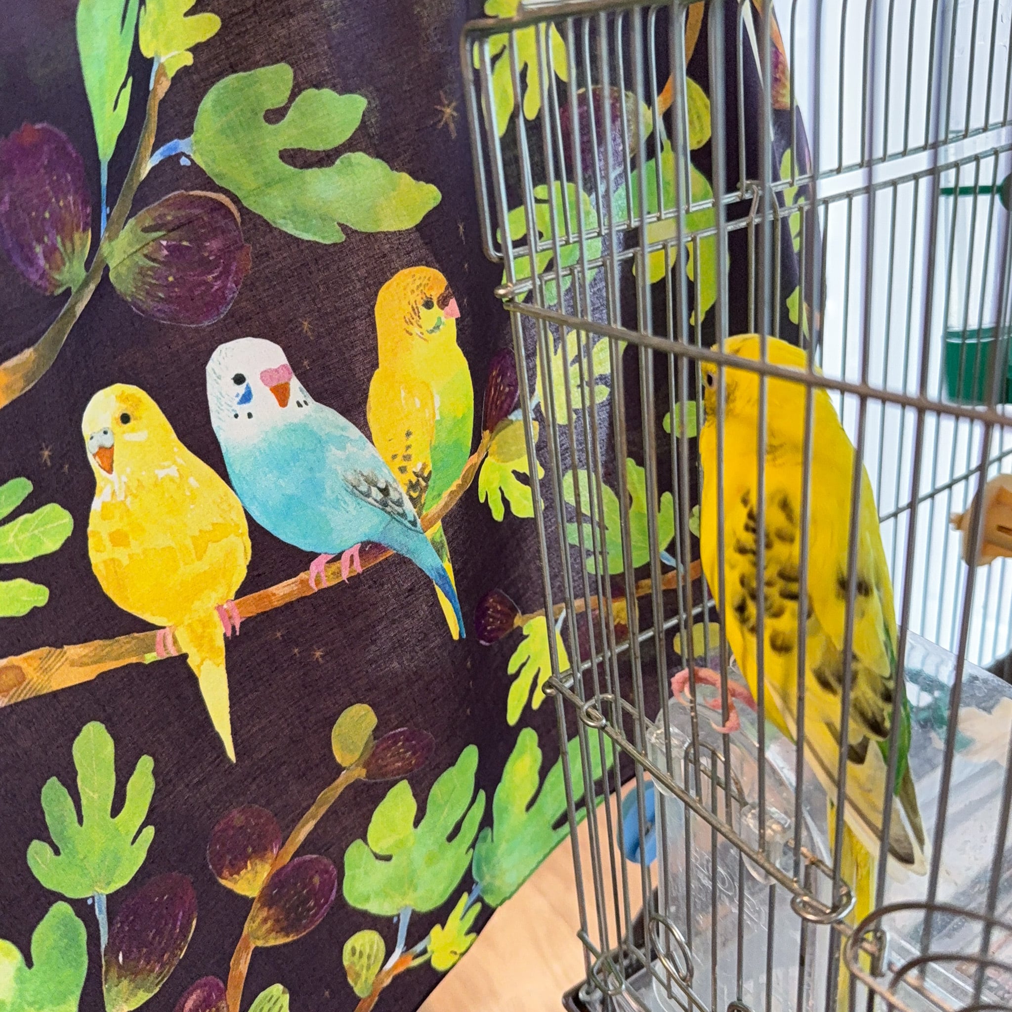 スカーフにもなるハンカチ「Friends with Birds」 | miyaco nishio