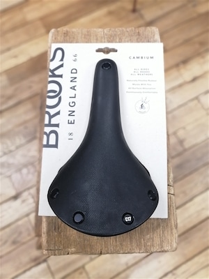 Brooks "Cambium Allwethear C17&C15"