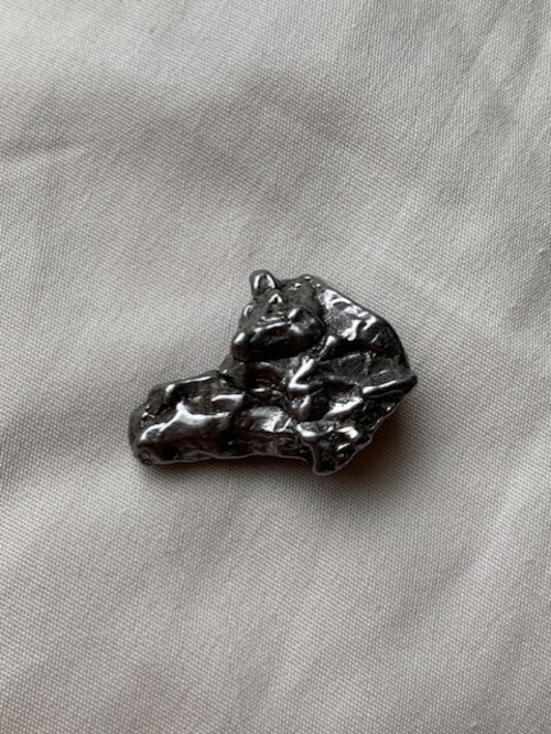 カンポ　デル　シエロ　隕石　大　　8  　裏表両面が　犬の顔のように見えます