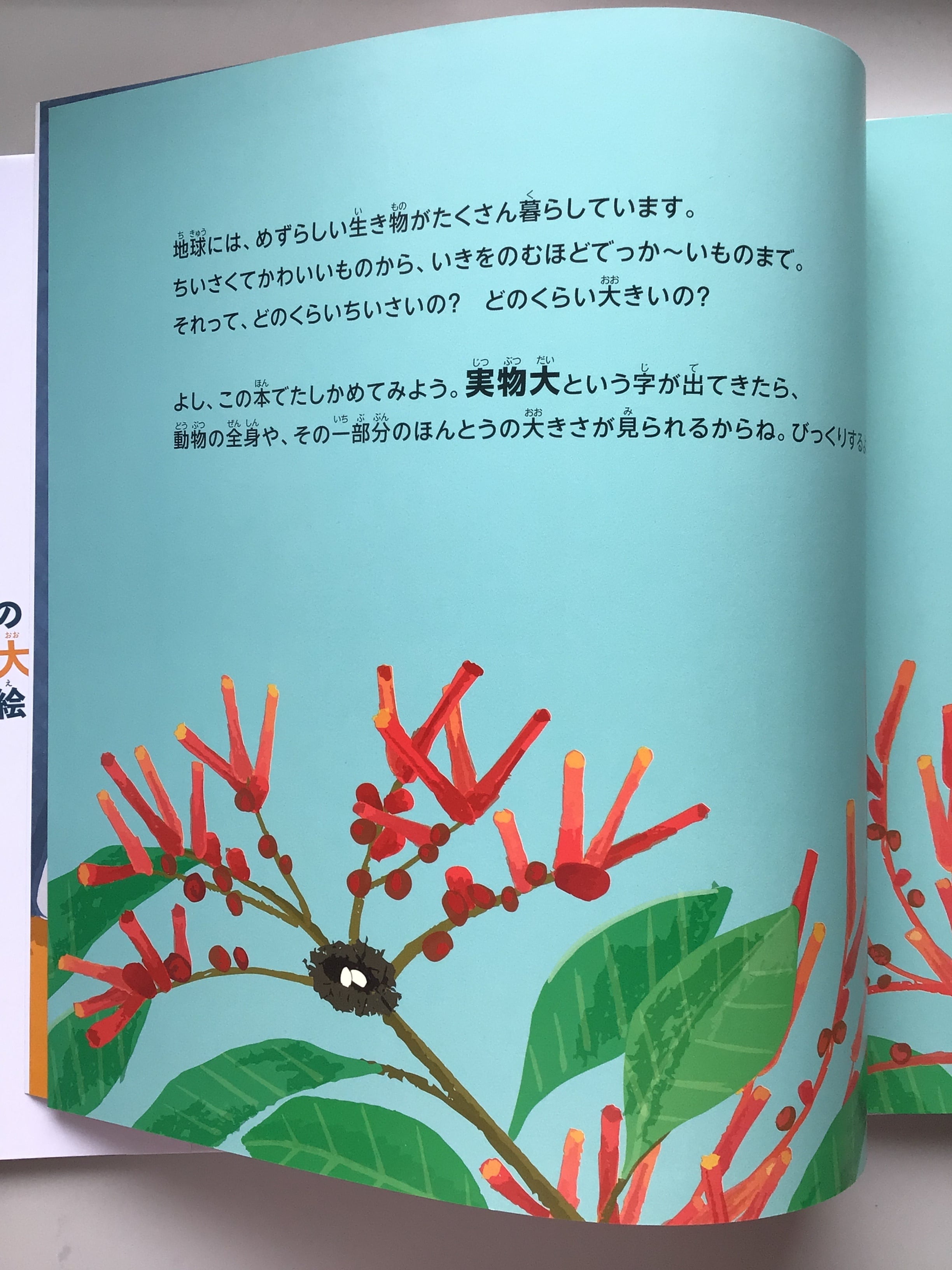 世界のどうぶつ絵本 実物大! ソフィー・ヘン 作 藤田千枝 訳 あすなろ
