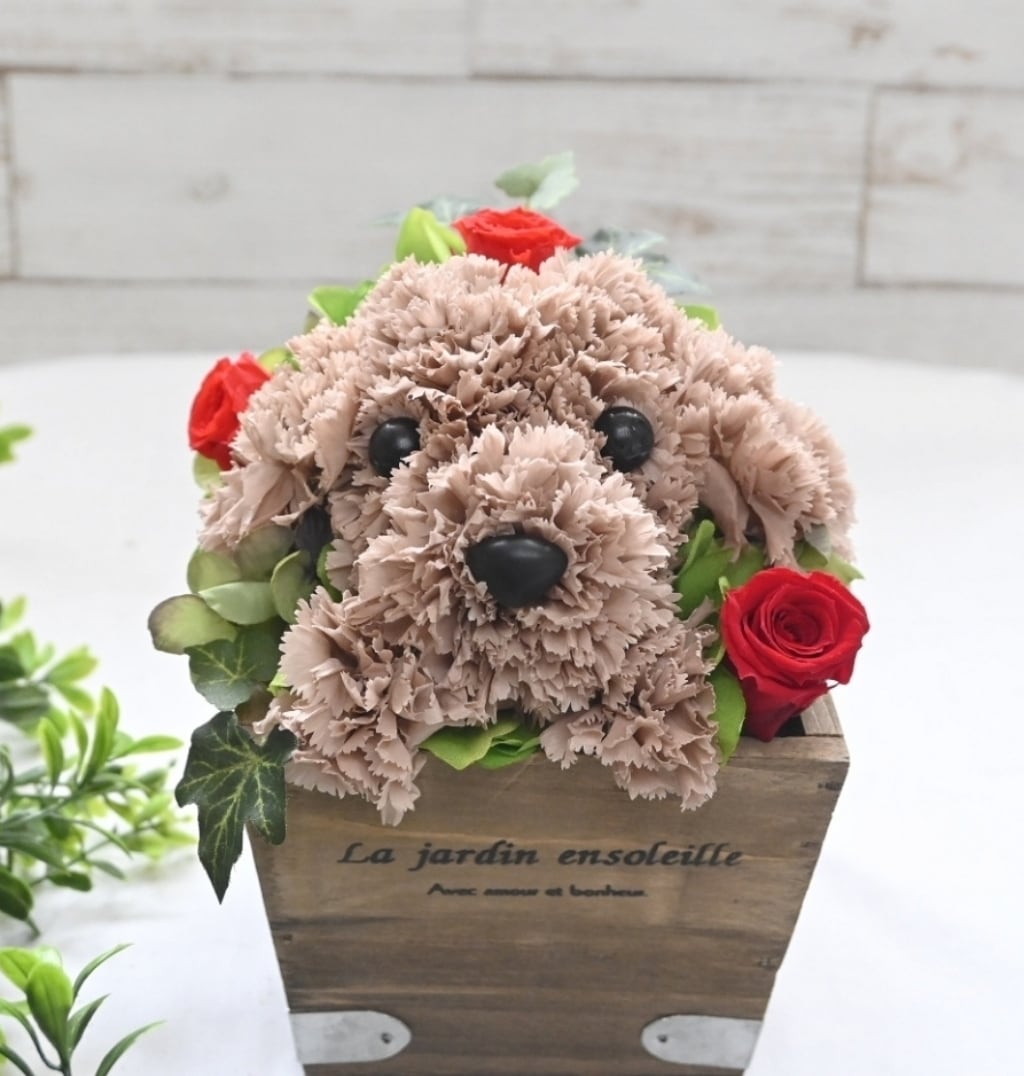 花の犬【濃い茶】プリザーブドフラワー 犬 花 カーネーション トイ