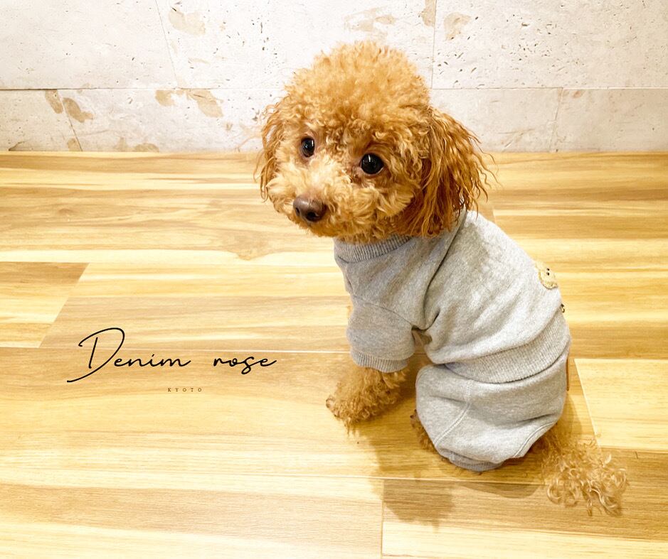 スウェットパンツ | DENIM ROSE