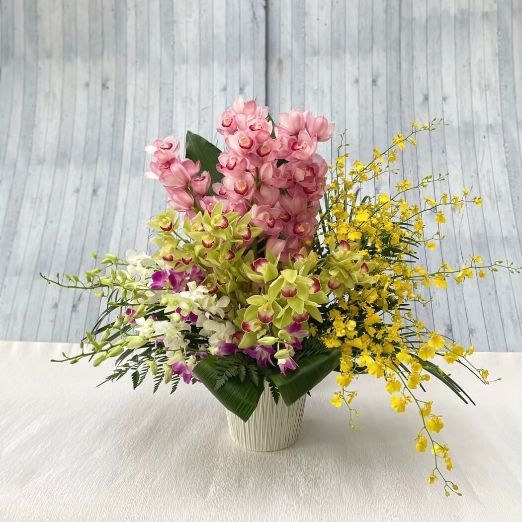 可愛い春のチューリップアレンジ「もふもふ」(ar0116) | 花you