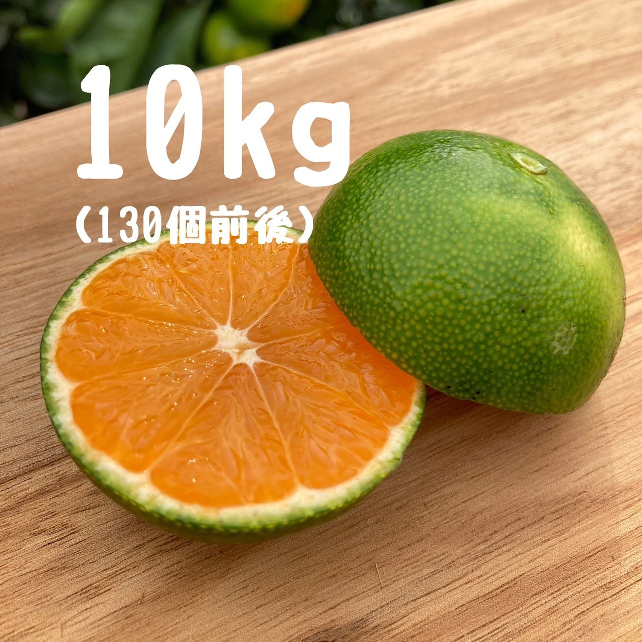 不意打ちみかん（YN26-和歌山限定品種）10キロ