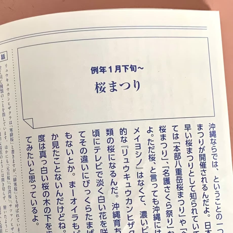 サイン本】片岡メリヤス｜極私的 OKINAWAのカタチ | STANDARD BOOKSTORE