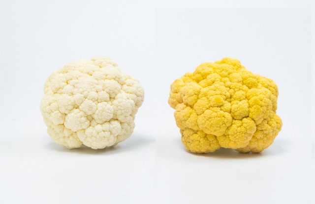 大越青果 カリフラワー（白・橙） 詰め合わせ【８個】