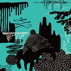 ＜Mustang  // ムスタング＞500ml缶