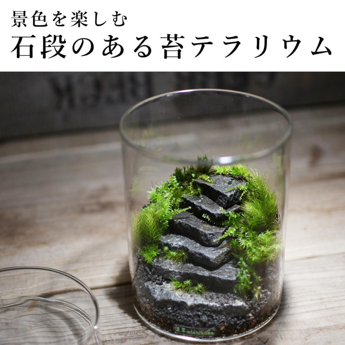 景色を楽しむ苔テラリウム】石段のある苔テラリウム シリンダーLsize 