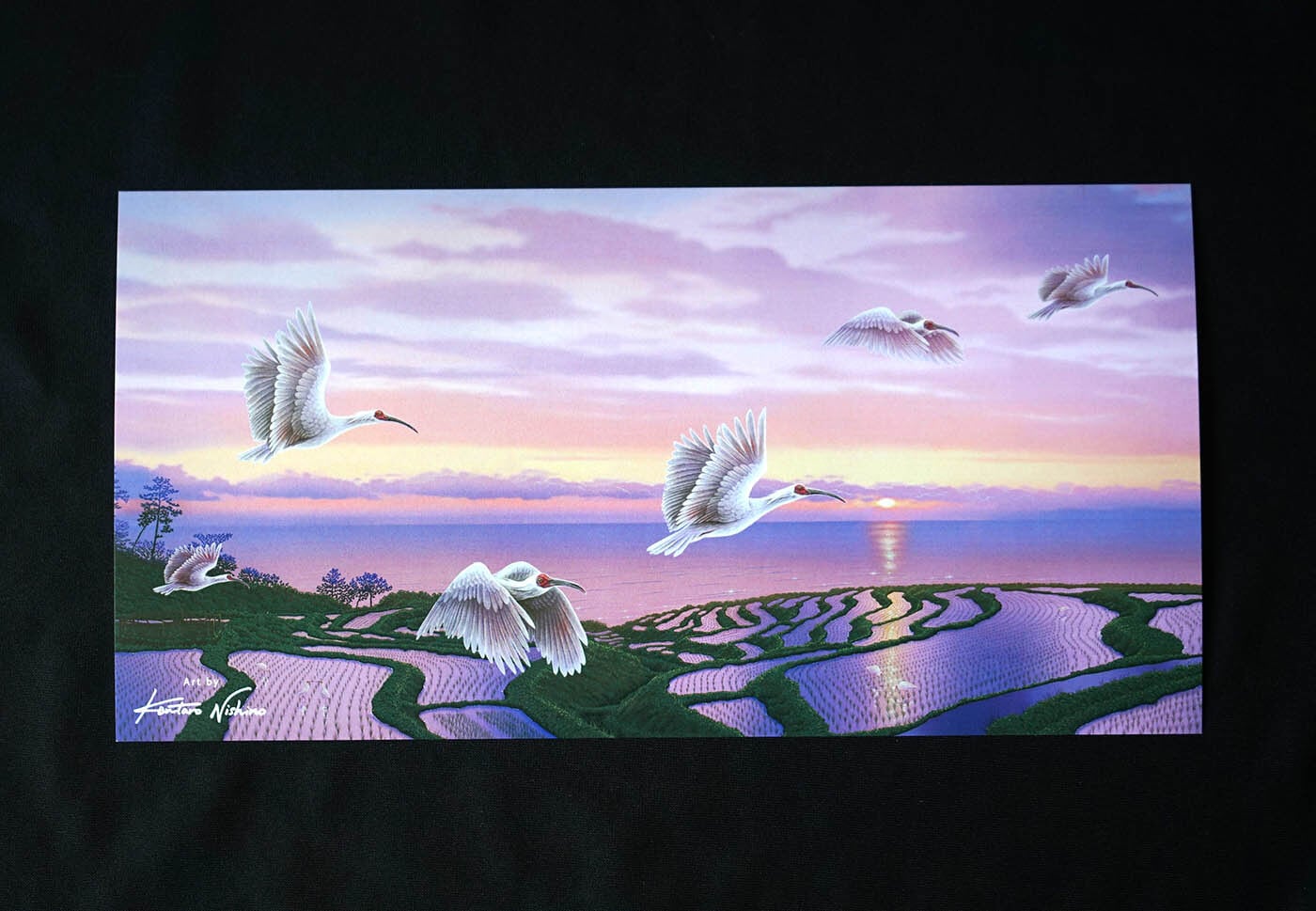 西野健太郎アートショップ